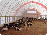 Dairy Compost Bedded Pack --       Manheim PA-dsc09377_show