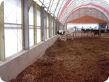 Dairy Compost Bedded Pack --       Manheim PA-dsc09415