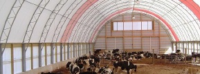 Dairy Barn Projects